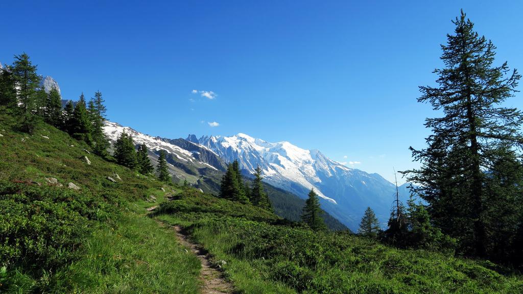 Le Dahu Otel Chamonix Dış mekan fotoğraf